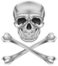 Skull Tattoo