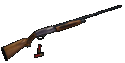 12-Guage Shotgun
