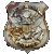 Police Badge